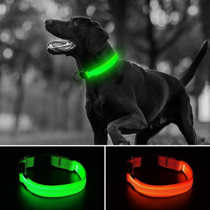 USB Rechargeable LED Pet Dog Collar Flashing Luminous Safety Light up Nylon UK