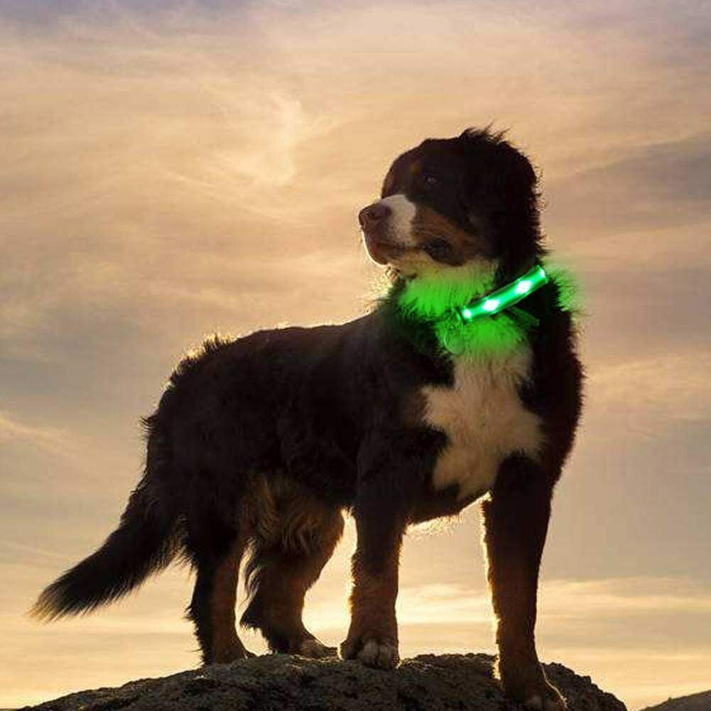 USB Rechargeable LED Pet Dog Collar Flashing Luminous Safety Light up Nylon UK